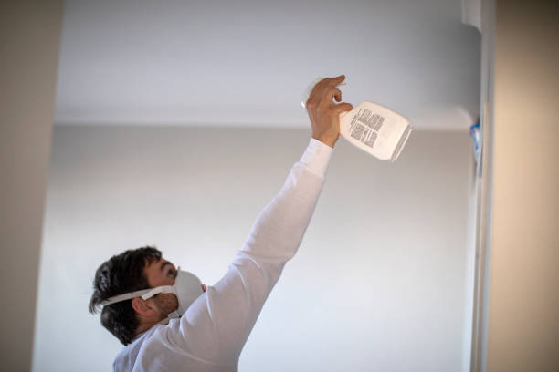 Best Mold Remediation  in Conroe, TX